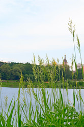 Similar image 2870252