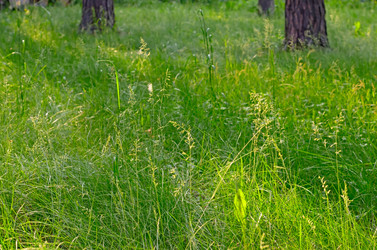 Similar image 2870258