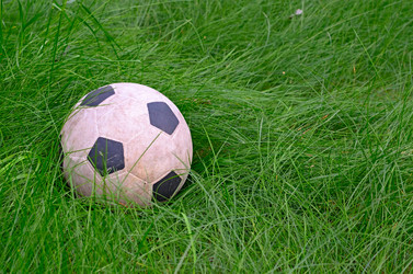 Similar image 2870259