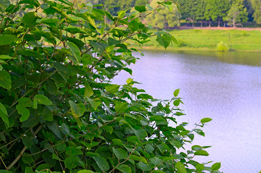 Similar image 2870260