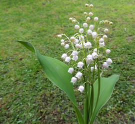 Similar image 2870265