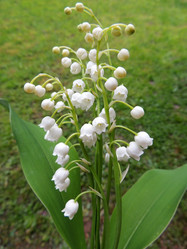 Similar image 2870266