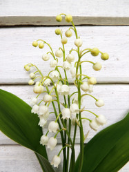 Similar image 2870270