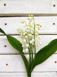 Similar image 2870271