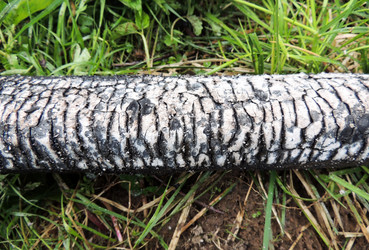 Similar image 2870272