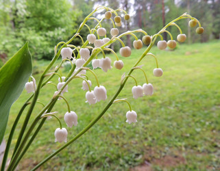 Similar image 2870276