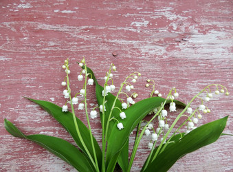 Similar image 2870277