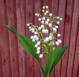 Similar image 2870278