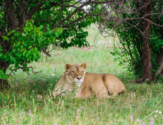 Similar image 2870299