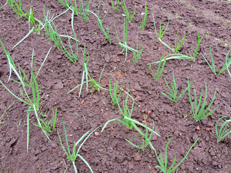 Similar image 2870300