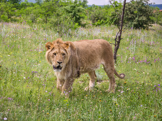 Similar image 2870301