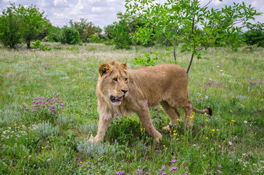 Similar image 2870302