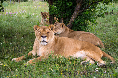 Similar image 2870304