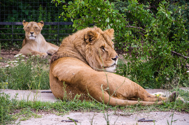 Similar image 2870305