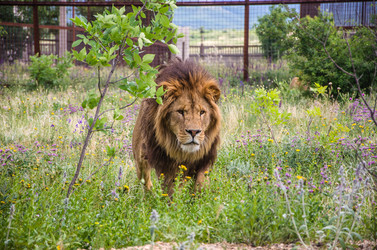 Similar image 2870307