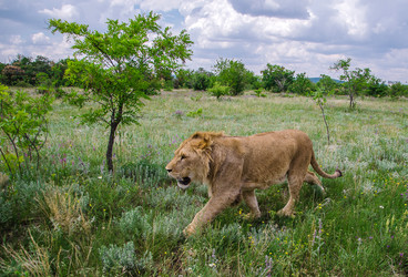 Similar image 2870309