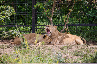 Similar image 2870310