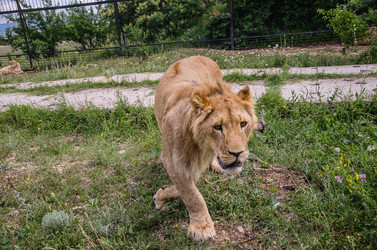 Similar image 2870311