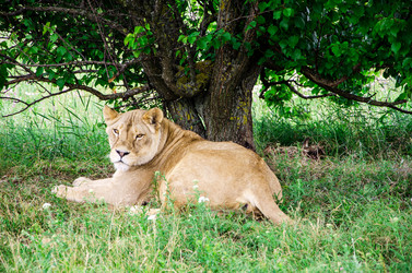 Similar image 2870313