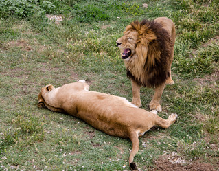 Similar image 2870315