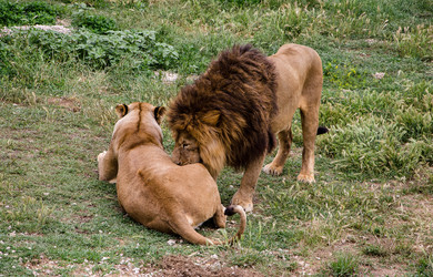 Similar image 2870316