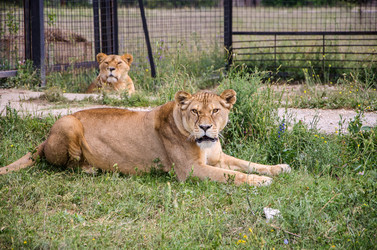 Similar image 2870318