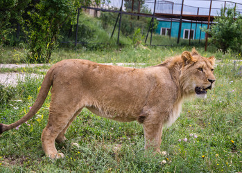 Similar image 2870319