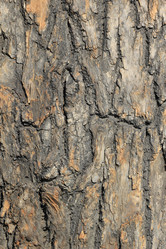 Similar image 2870468