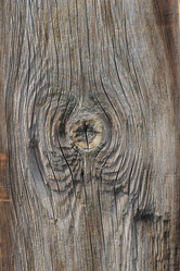 Similar image 2870476