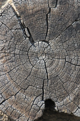 Similar image 2870477