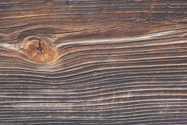 Similar image 2870480