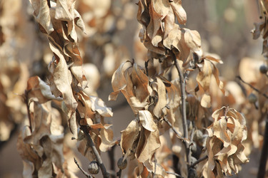 Similar image 2870508