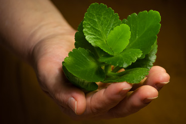 Similar image 2870680