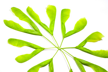 Similar image 2870684