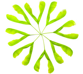 Similar image 2870685