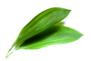 Similar image 2870688