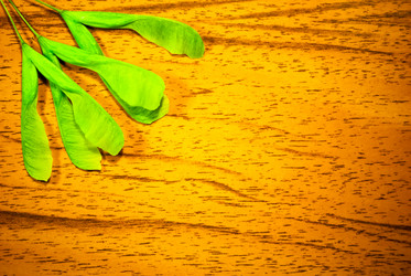 Similar image 2870689