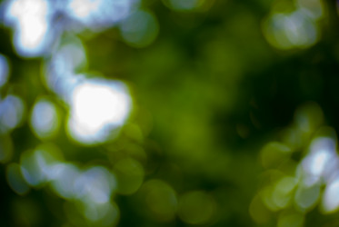 Similar image 2870690