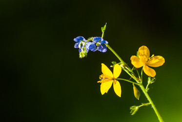 Similar image 2870691