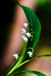 Similar image 2870693