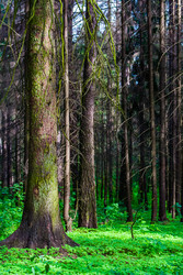 Similar image 2870694