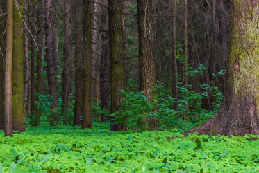 Similar image 2870695