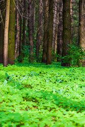 Similar image 2870696