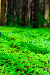 Similar image 2870697