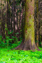 Similar image 2870698