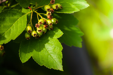 Similar image 2870701