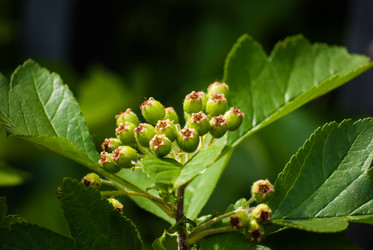 Similar image 2870707