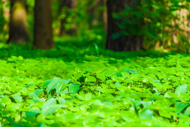 Similar image 2870710