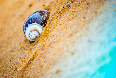 Similar image 2870713