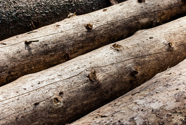 Similar image 2870722